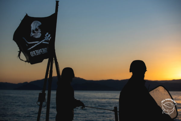 Couple of crew and the flag at sunset on the bow